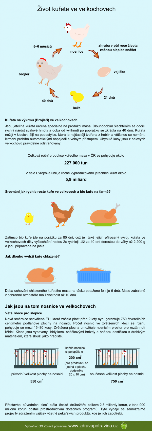 Jak dlouho zije kuře ve velkochovu?